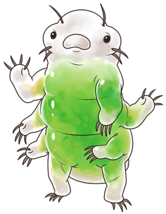 Fully Shaded Fullbody